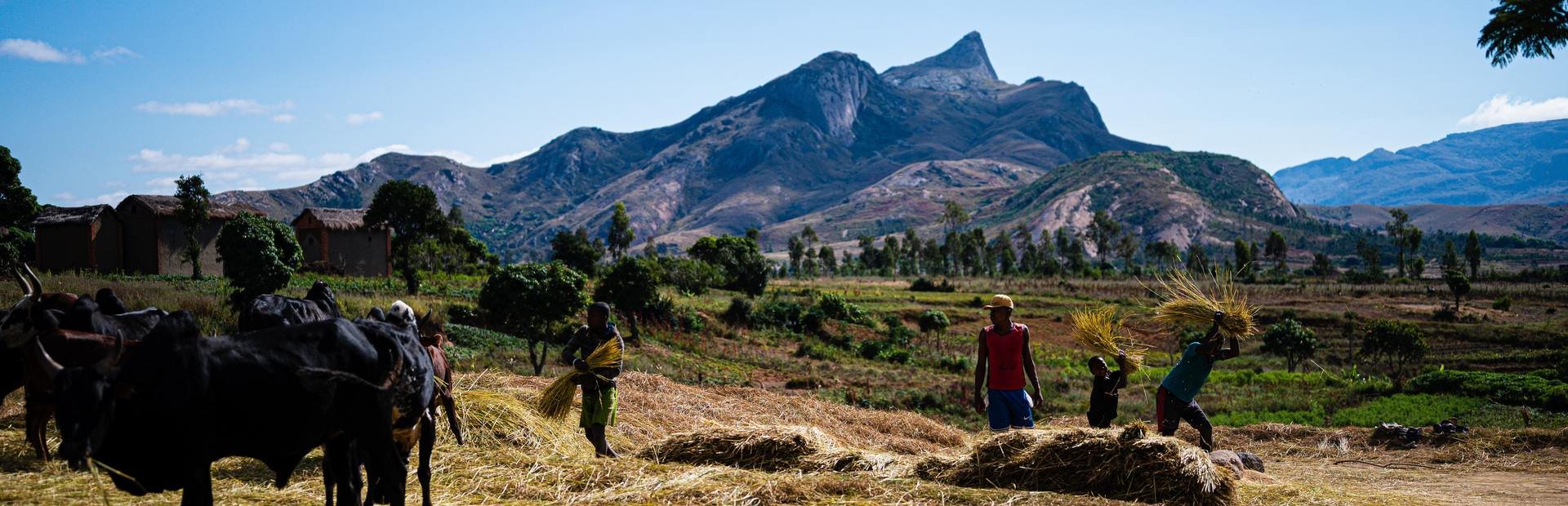 Madagascar Ambalavao (7)