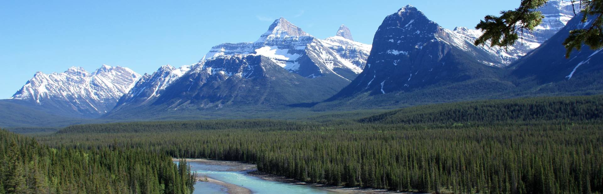 Uitzicht Icefields Parkway