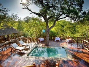 Lodge bij Kruger zwembad