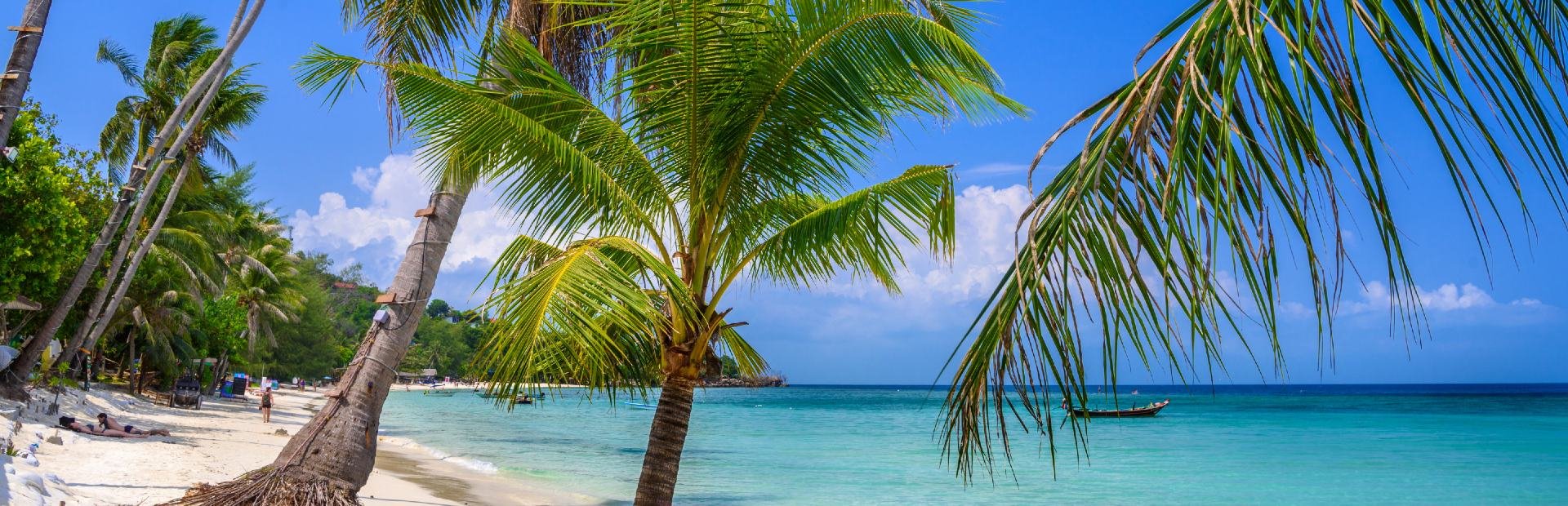 Koh Phangan strand eiland Thailand reis