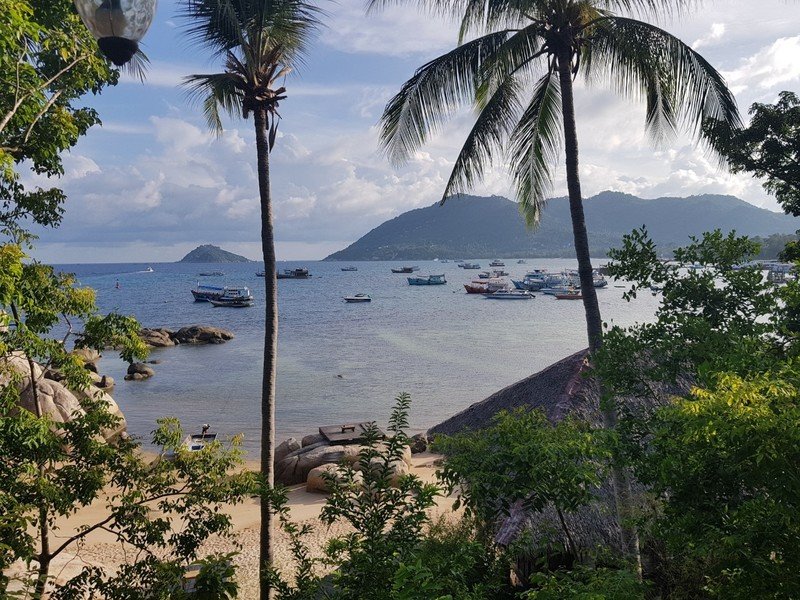 Koh tao