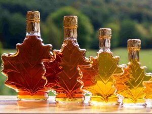 Vier glazen flessen in de vorm van een esdoornblad, gevuld met verschillende tinten esdoornsiroop, variërend van licht goud tot donker amber.