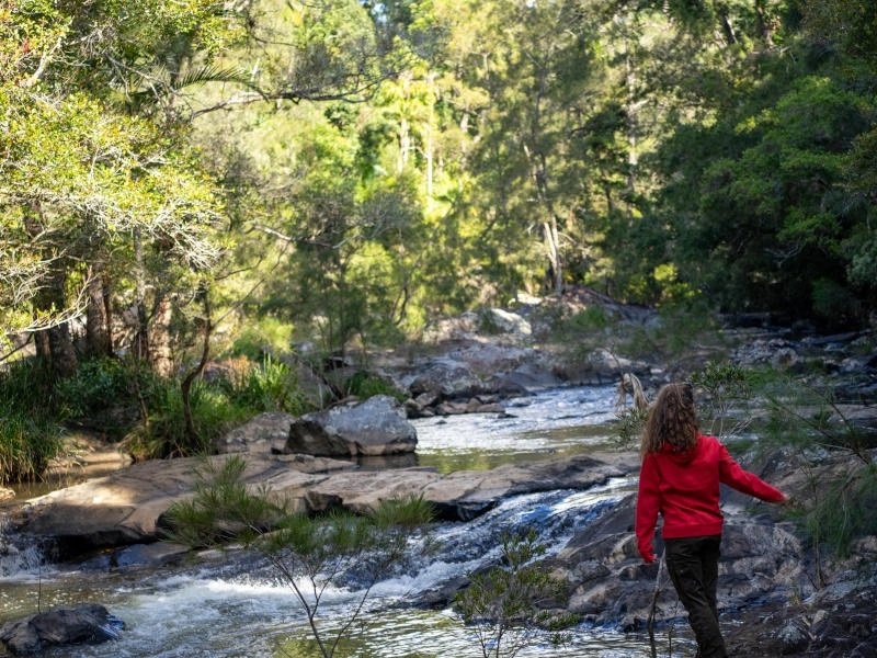 Australië Eungella NP