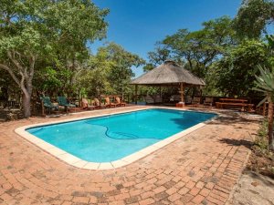 South Africa - Kruger Park - Pool