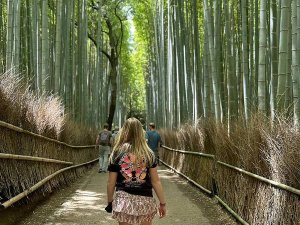 Bos in Kyoto - Japan