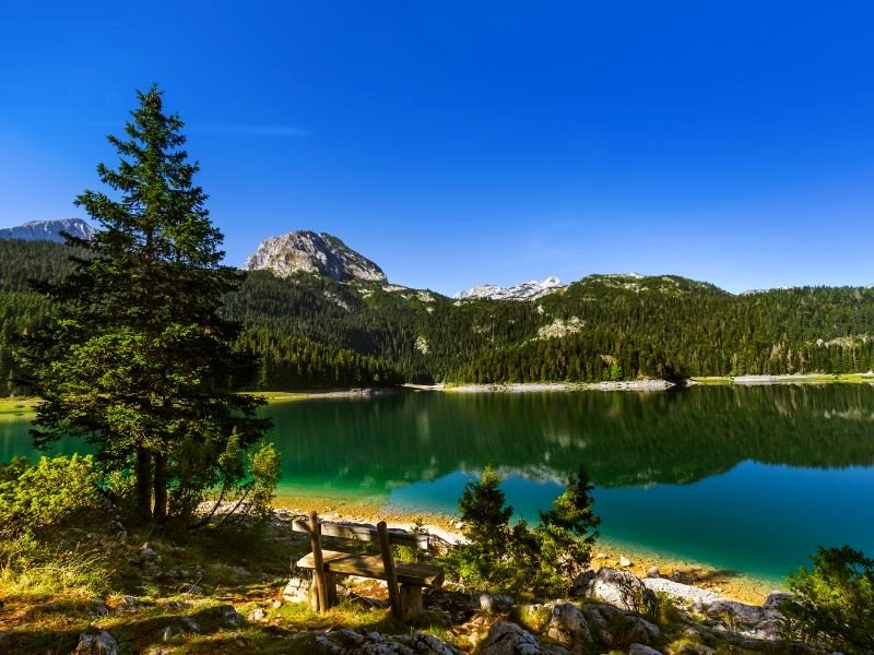 Rustig bergmeer met spiegeling van dennenbossen en rotsachtige bergtoppen, met een houten bank aan de oever in Kroatië