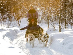 lapland wilderness resort huskytocht