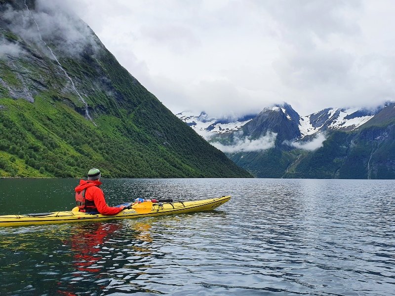 wildkamperen Noorwegen Norangsfjord