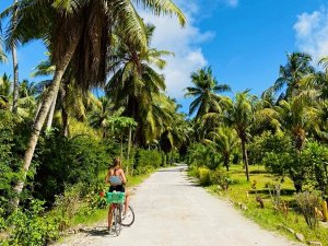 Seychellen - La Digue palmbomen - fietsen