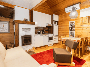 Woonkamer en keuken Vuokatti chalet