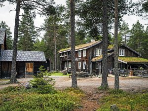 Wooden buildings with green sod roofs and outdoor seating in a pine forest.