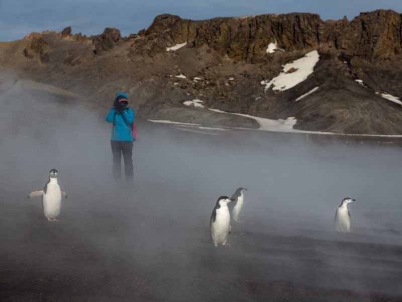 antartica expeditie