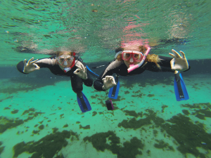 Snorkelen in Florida