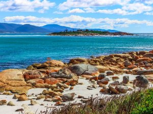 tasmanie
