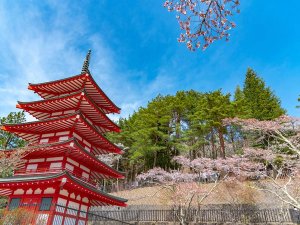 Pagoda in Japan