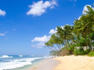 Sri Lanka Strand Bentota