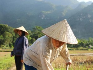 Vietnam tam coc locals