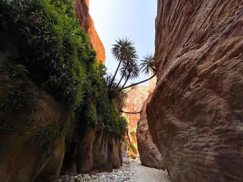 Jordanië
