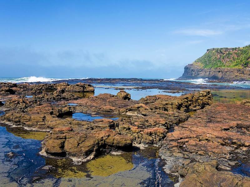catlins-new-zealand