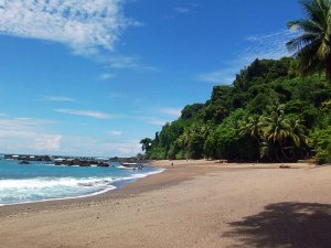 Strand in Drake Bay