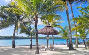 afrika mauritius