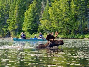 Kamperen tent Canada
