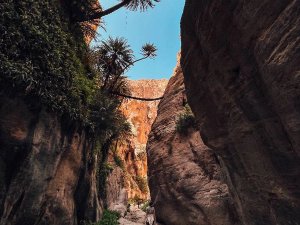 Jordanië - Wadi Ghuweir trail