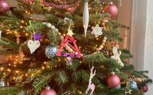 Dit zijn onze kerstknutsels