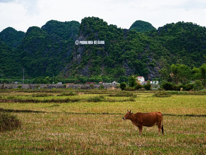 Vietnam Phong Nha (9)