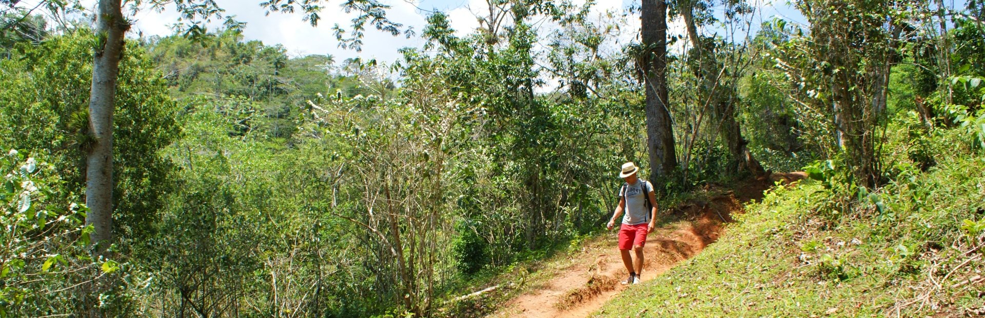 Persoon met hoed en rode shorts loopt over een zandpad door weelderig groen bos in Topes de Collantes Cuba