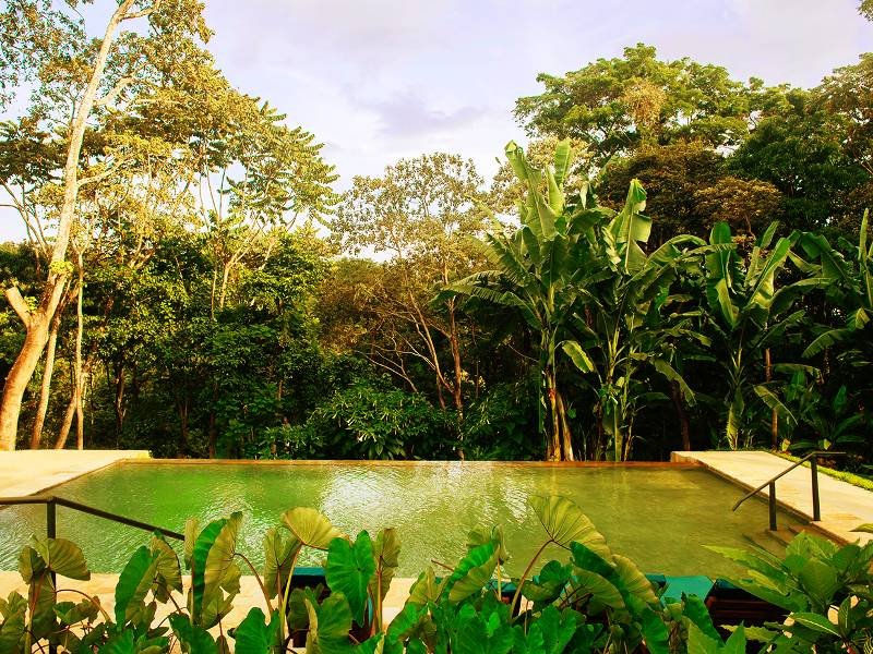 Kilimanjaro coffee lodge