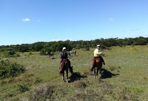 Paard rijden Swaziland