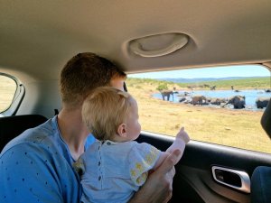 Ouder met baby in de achterbank bewondert olifanten die drinken aan de rand van het water.