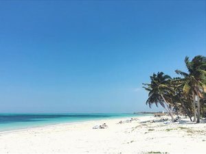 Scenic tropical beach with white sand, turquoise water, blue sky, and palm trees.