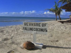 Stranden van Diani Beach