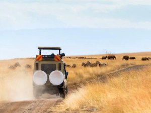 Zuid-Afrika Kruger jeep
