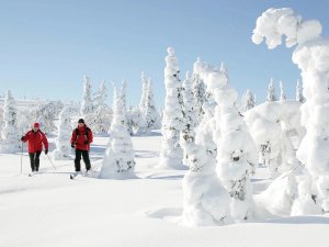 Langlaufen in Lapland