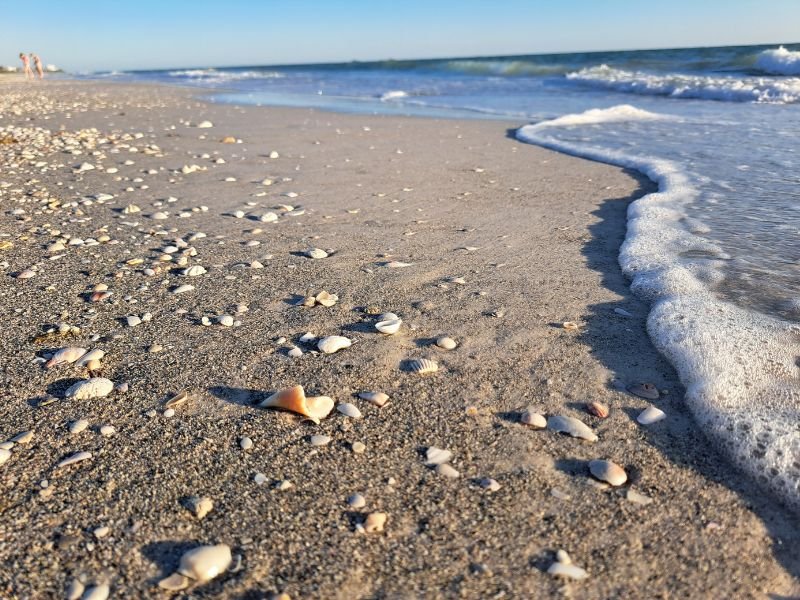 strand met schelpen en opkomend water