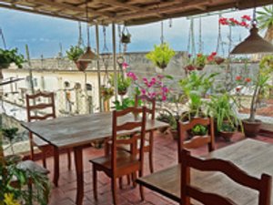 Sfeervol dakterras met houten tafels en stoelen omringd door hang- en potplanten in Havana Cuba