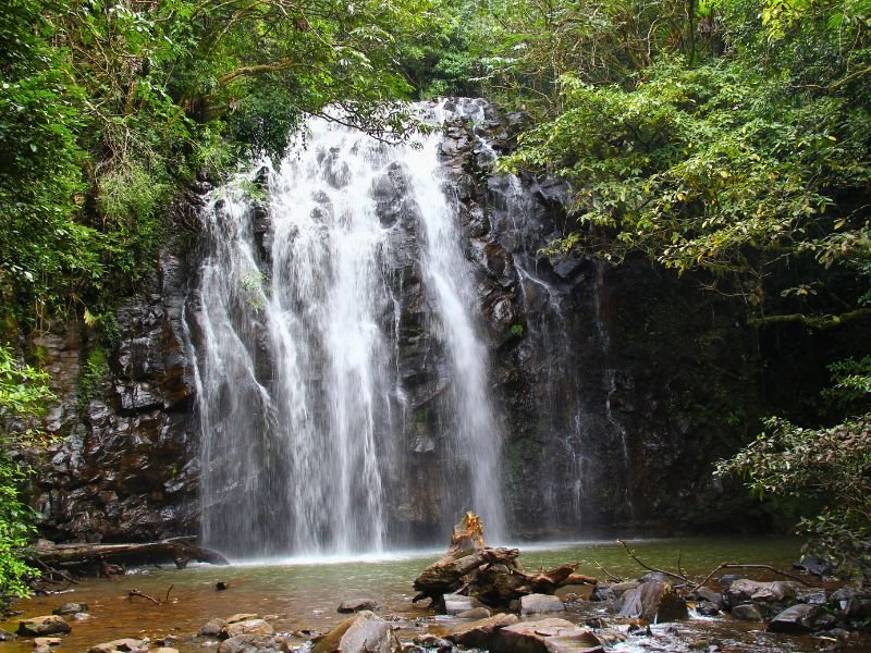 Millaa Millaa waterval in Atherton Tablelands