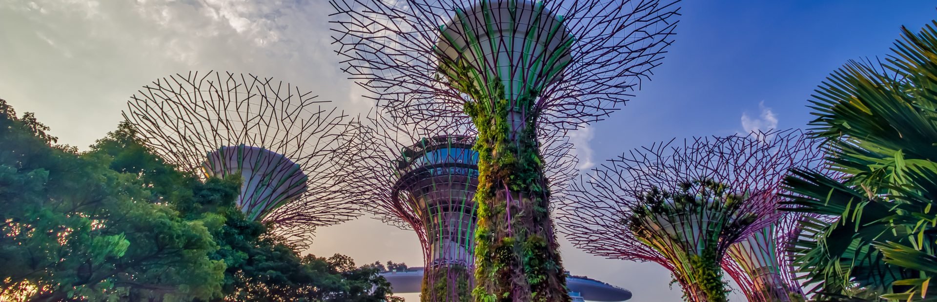 Singapore Gardens by the Bay