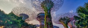 Singapore Gardens by the Bay