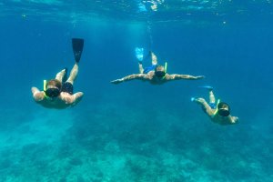 snorkelen