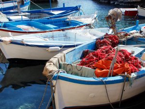 Salento regio