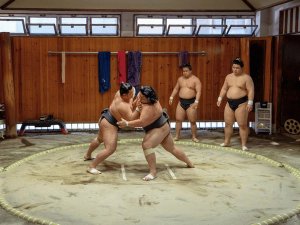 Sumo training Tokyo