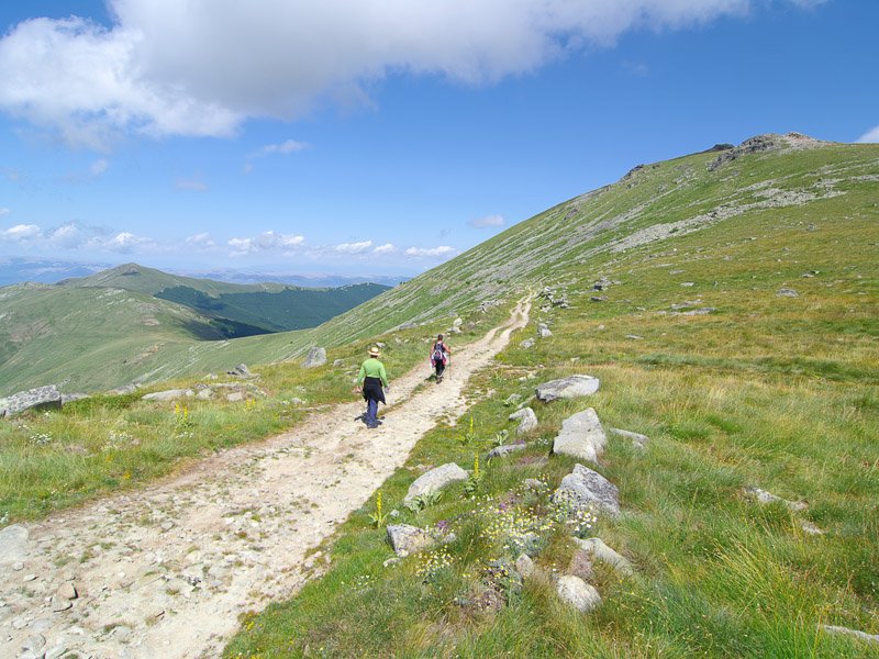 Twee wandelaars lopen over een kronkelend bergpad door een groene, rotsachtige berg onder een blauwe lucht in Nationaal Park Pelister in Noord-Macedonië