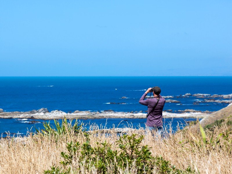 Kaikoura nieuw zeeland