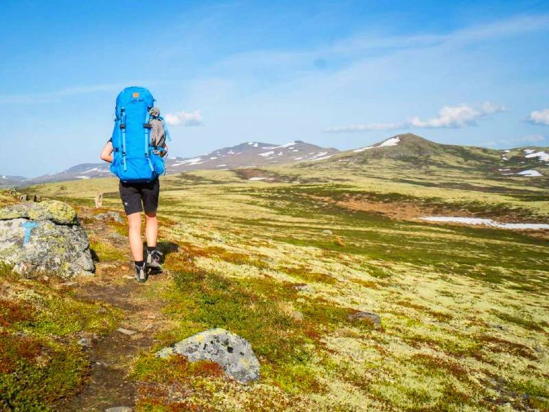 A hiker with a large blue backpack walks on a dirt path through a vast, mossy mountain landscape with snow patches under a blue sky.