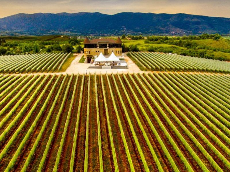 Luchtfoto van een uitgestrekte wijngaard met een château-achtig gebouw en tenten voor evenementen, omringd door bergen in Noord-Macedonië