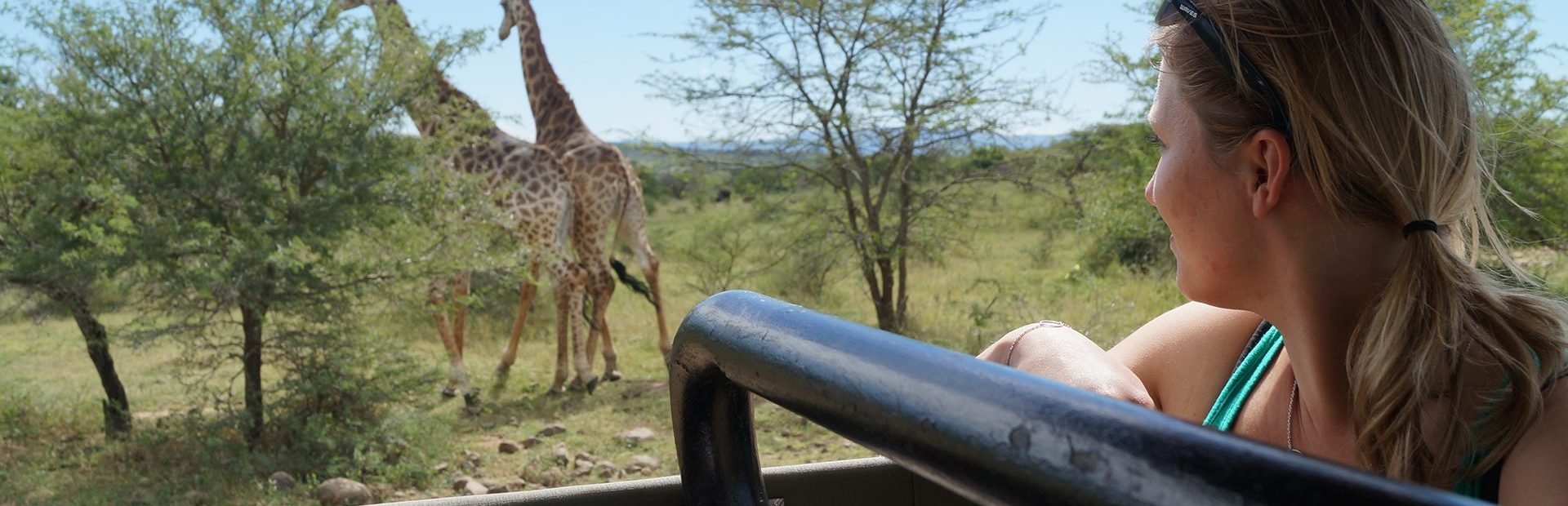 Vrouw in een safari-jeep kijkt naar twee giraffen die tussen de bomen staan in een savannegebied.